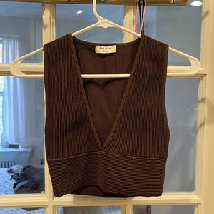 Aritzia Babaton V-Neck Crop Top